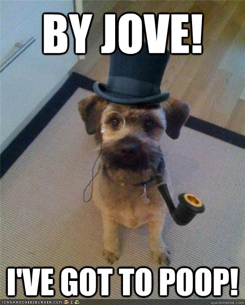 by jove! i've got to poop!  victorian dog