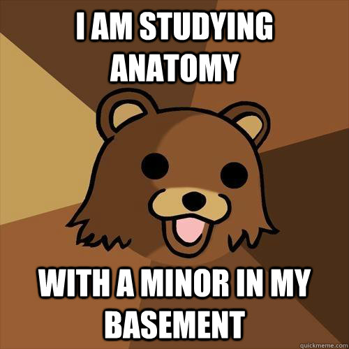 I am studying anatomy With a minor in my basement - I am studying anatomy With a minor in my basement  Pedobear