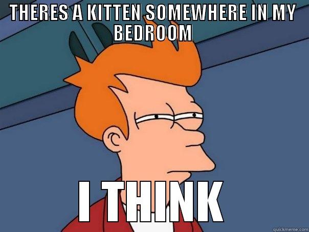 Im not sure - THERES A KITTEN SOMEWHERE IN MY BEDROOM I THINK Futurama Fry