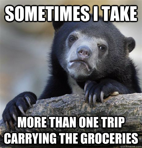 Sometimes I take  more than one trip carrying the groceries - Sometimes I take  more than one trip carrying the groceries  Confession Bear