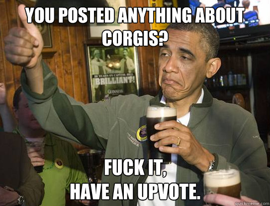 You posted anything about corgis? Fuck it,
have an upvote.  Upvoting Obama