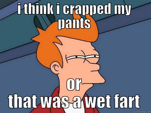 I THINK I CRAPPED MY PANTS OR THAT WAS A WET FART Futurama Fry