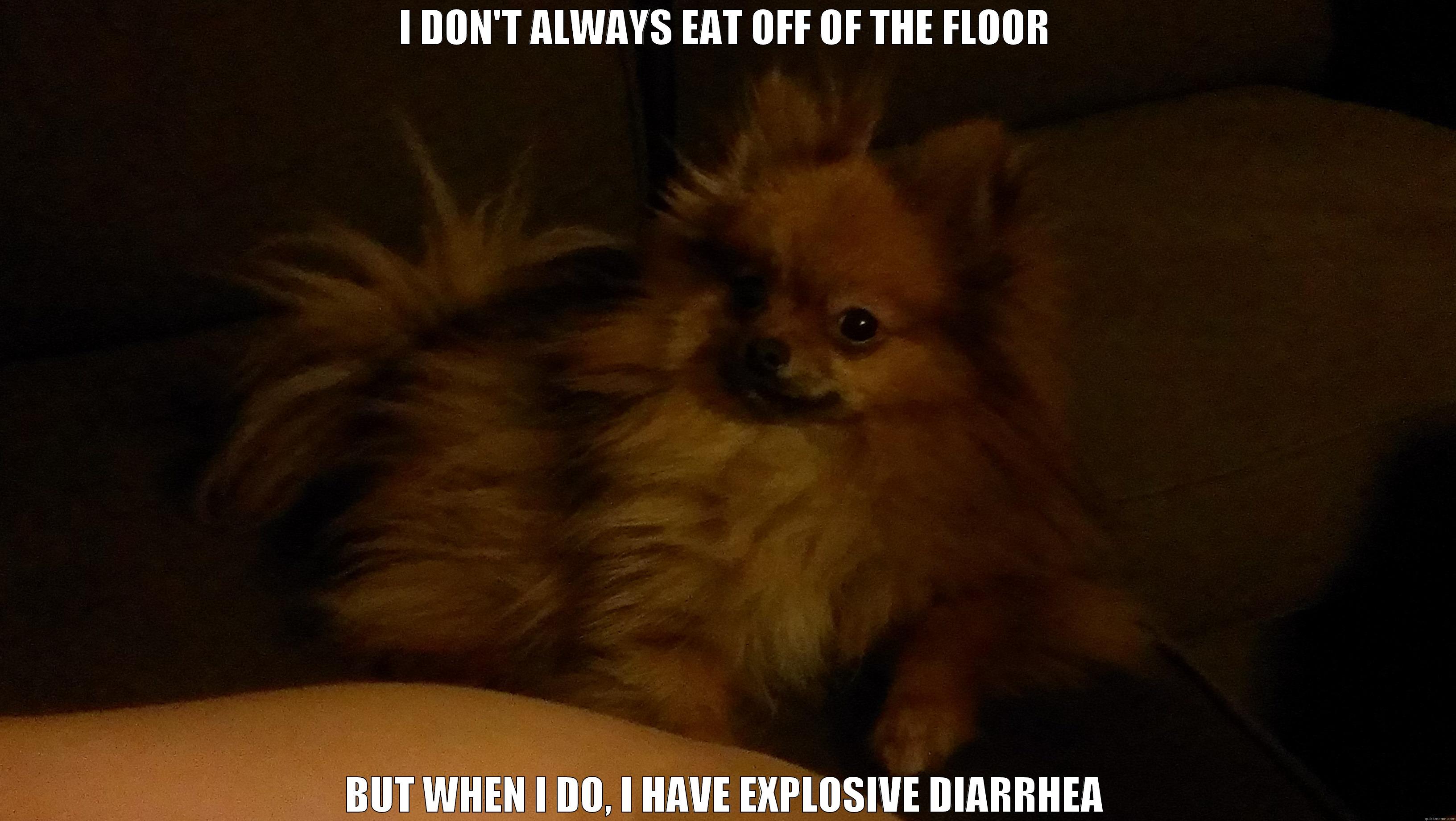 I DON'T ALWAYS EAT OFF OF THE FLOOR BUT WHEN I DO, I HAVE EXPLOSIVE DIARRHEA Misc