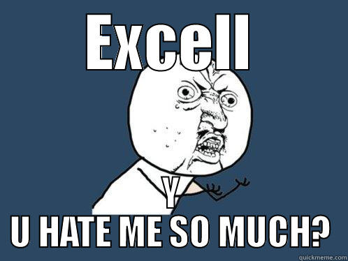 excellul asta - EXCELL Y U HATE ME SO MUCH? Y U No