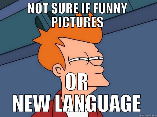 HILARIOUS LANGUAGEXXX - NOT SURE IF FUNNY PICTURES OR NEW LANGUAGE Futurama Fry