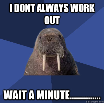 I DONT ALWAYS WORK OUT WAIT A MINUTE...............  Web Developer Walrus