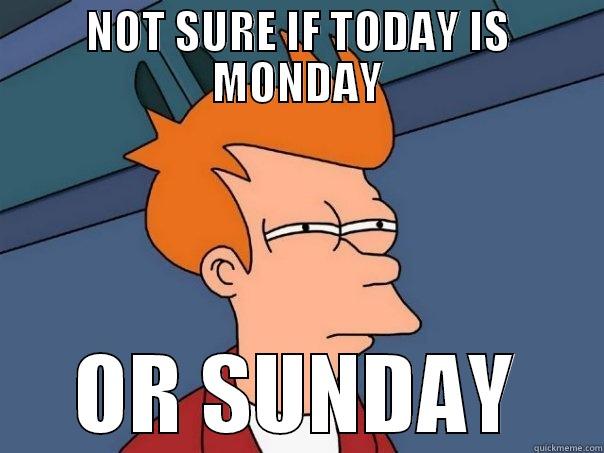 NOT SURE IF TODAY IS MONDAY OR SUNDAY Futurama Fry