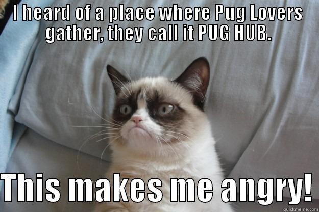 I HEARD OF A PLACE WHERE PUG LOVERS GATHER, THEY CALL IT PUG HUB.  THIS MAKES ME ANGRY! Grumpy Cat