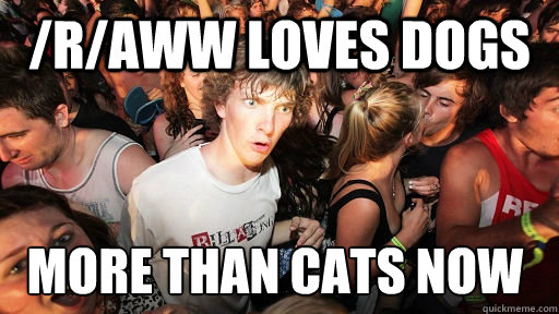 /r/aww loves dogs more than cats now   Sudden Clarity Clarence