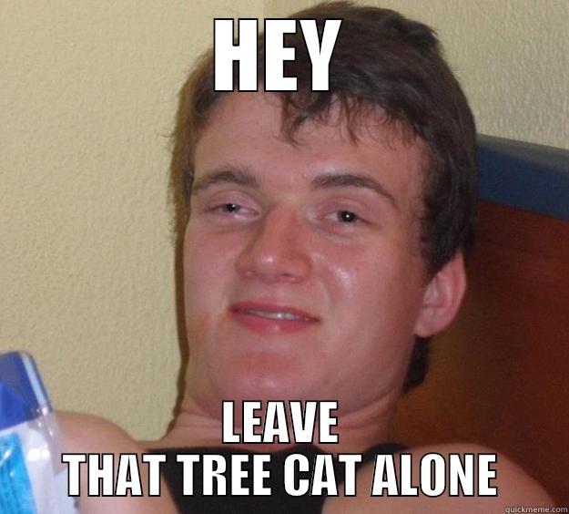 I said this to my dog while he tried to chase a squirrel up a tree just now - HEY LEAVE THAT TREE CAT ALONE 10 Guy