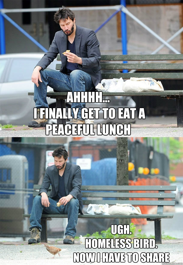 Ahhhh...
 I finally get to eat a peaceful lunch Ugh. 
Homeless bird. 
Now I have to share  Sad Keanu