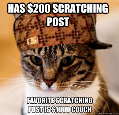 has $200 scratching post favorite scratching post is $1000 couch - has $200 scratching post favorite scratching post is $1000 couch  Scumbag Cat