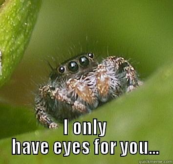 Awkward Spider, is awkward. -  I ONLY HAVE EYES FOR YOU... Misunderstood Spider