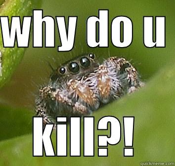 WHY DO U  KILL?! Misunderstood Spider