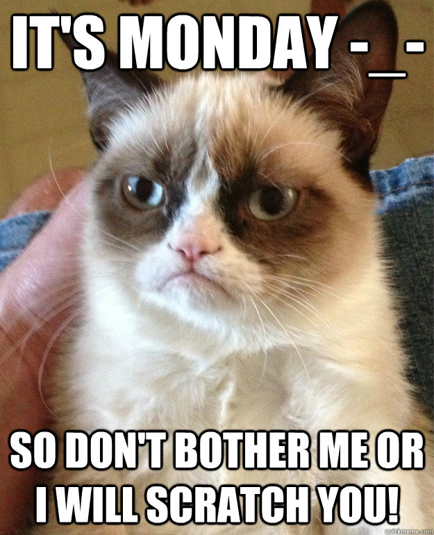 It's Monday -_- So don't bother me or I will scratch you!  Grumpy Cat