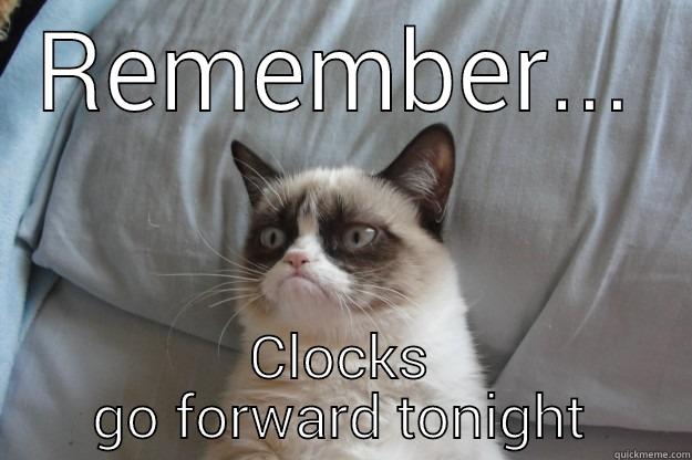 REMEMBER... CLOCKS GO FORWARD TONIGHT Grumpy Cat