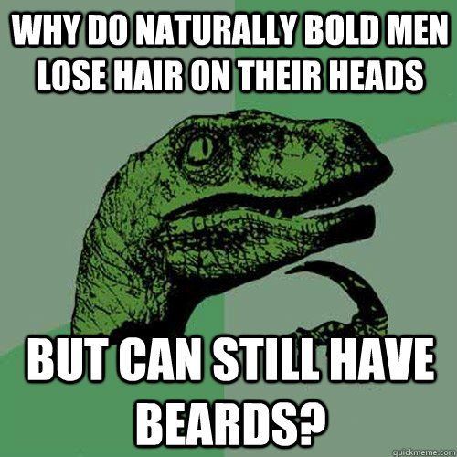 Why do naturally bold men lose hair on their heads But can still have beards?  Philosoraptor