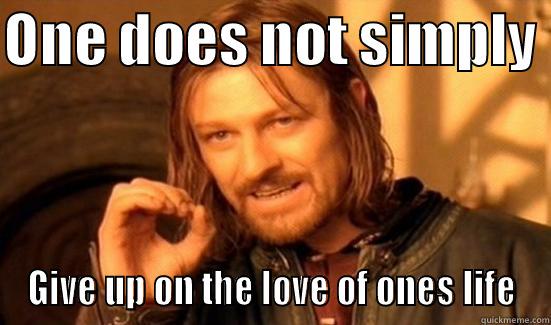 ONE DOES NOT SIMPLY  GIVE UP ON THE LOVE OF ONES LIFE Boromir