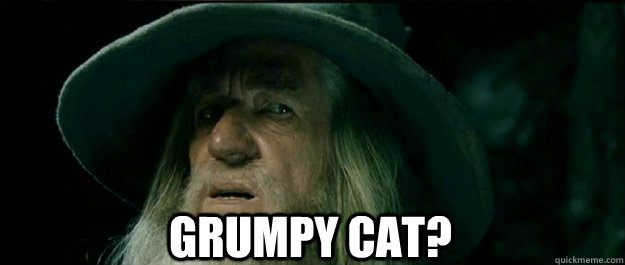  Grumpy Cat?  Gandalf