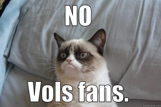 NO VOLS FANS. Grumpy Cat