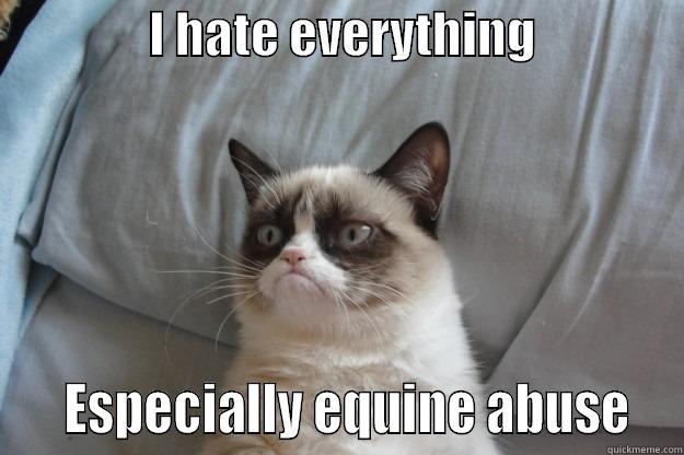                I HATE EVERYTHING                   ESPECIALLY EQUINE ABUSE  Grumpy Cat