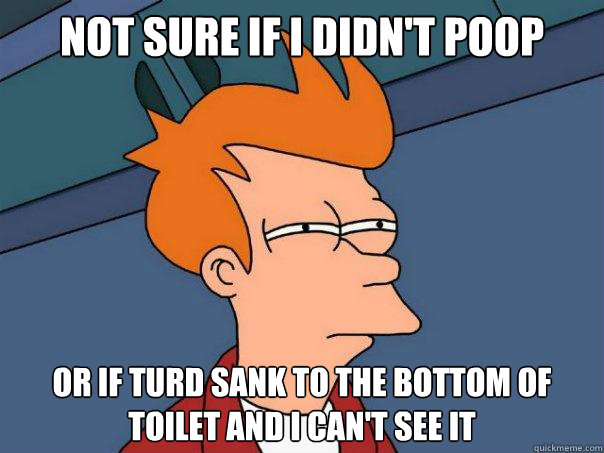 NOT SURE IF I DIDN'T POOP
 OR IF TURD SANK TO THE BOTTOM OF TOILET AND I CAN'T SEE IT - NOT SURE IF I DIDN'T POOP
 OR IF TURD SANK TO THE BOTTOM OF TOILET AND I CAN'T SEE IT  Futurama Fry