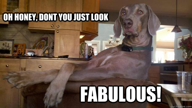 oh honey, dont you just look  fabulous! - oh honey, dont you just look  fabulous!  Misc