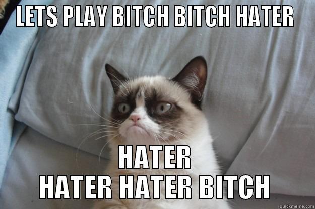 Okay.....? Cat - LETS PLAY BITCH BITCH HATER HATER HATER HATER BITCH Grumpy Cat