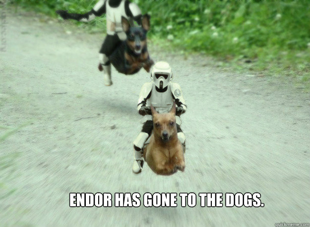 Endor has gone to the dogs.
 - Endor has gone to the dogs.
  Speeder Dogs