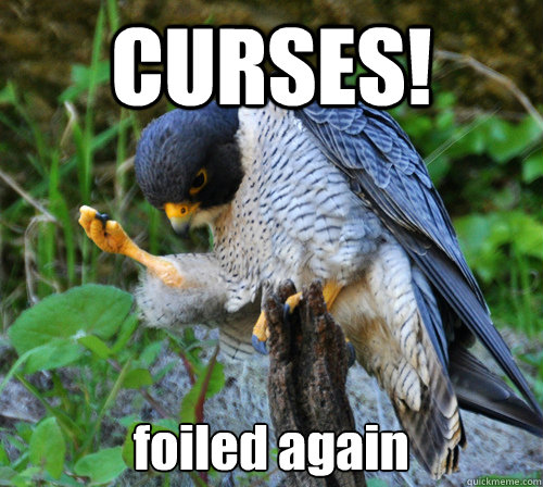 CURSES! foiled again - CURSES! foiled again  Aw YEA Falcon