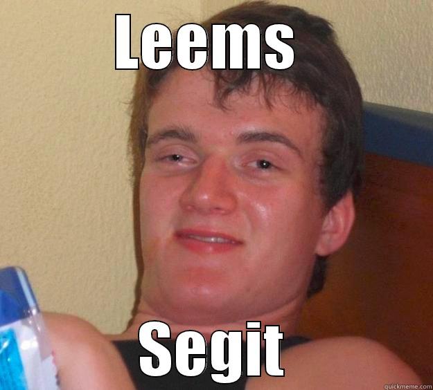 LEEMS  SEGIT 10 Guy