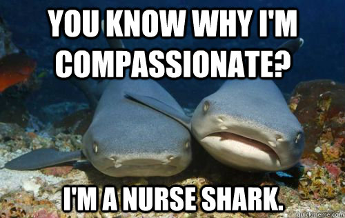 YOU KNOW WHY I'M COMPASSIONATE? I'M A NURSE SHARK. - YOU KNOW WHY I'M COMPASSIONATE? I'M A NURSE SHARK.  Compassionate Shark Friend