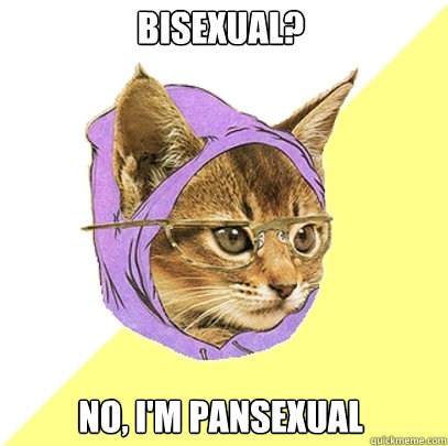 bisexual? no, i'm pansexual  Hipster Kitty