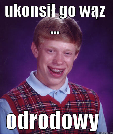 UKONSIŁ GO WĄZ ... ODRODOWY  Bad Luck Brian