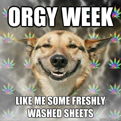 Orgy week like me some freshly washed sheets  Stoner Dog