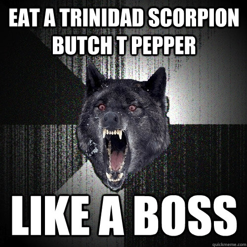 Eat a Trinidad Scorpion Butch T pepper Like a BOSS - Eat a Trinidad Scorpion Butch T pepper Like a BOSS  Insanity Wolf