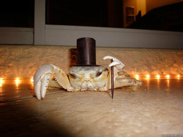    Fancy Crab