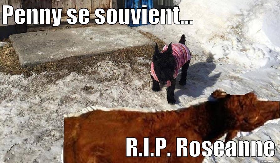 PENNY SE SOUVIENT...                                                   R.I.P. ROSEANNE Misc