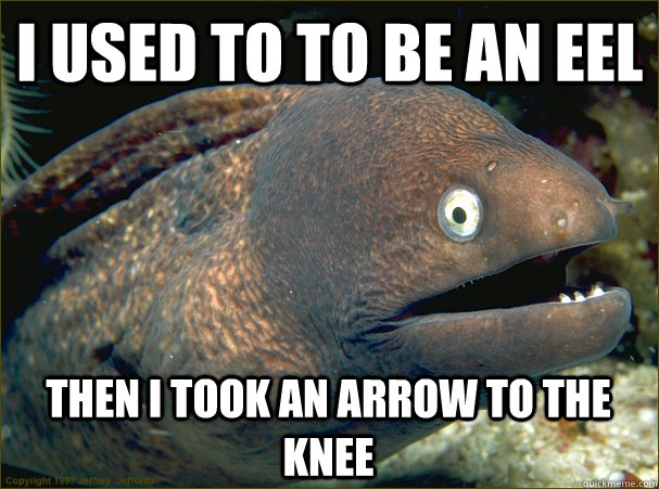 I used to to be an eel Then I took an arrow to the knee  Bad Joke Eel