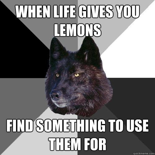 When Life Gives you lemons Find something to use them for  Sanity Wolf