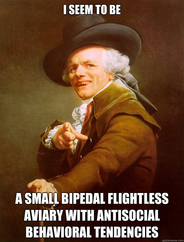 I seem to be a small bipedal flightless aviary with antisocial behavioral tendencies  Joseph Ducreux