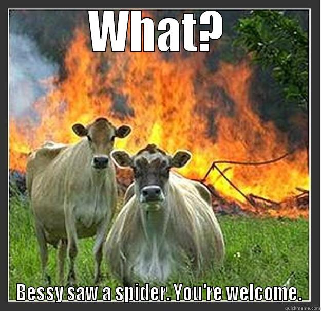 WHAT? BESSY SAW A SPIDER. YOU'RE WELCOME. Evil cows