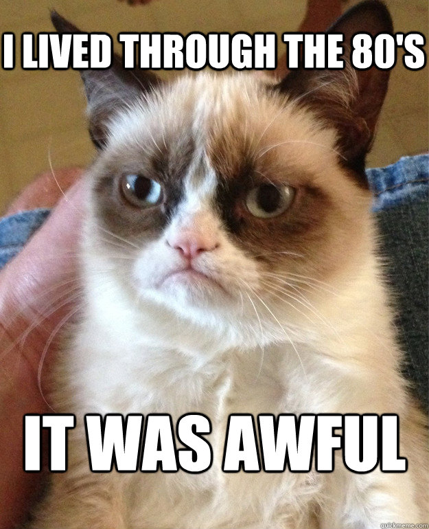 I lived through the 80's It was awful  Grumpy Cat