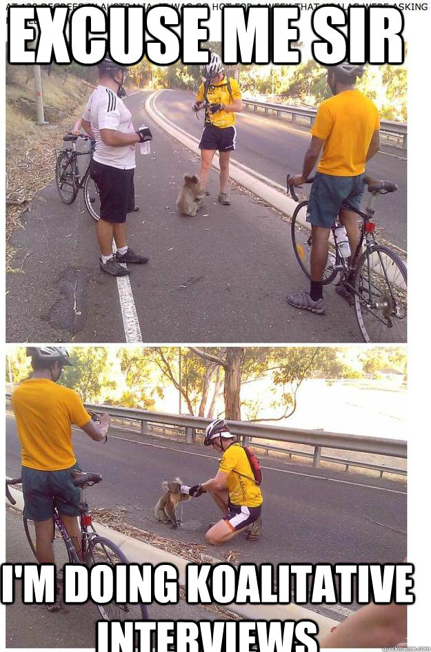 Excuse me Sir I'm doing koalitative interviews - Excuse me Sir I'm doing koalitative interviews  Koala drinking water