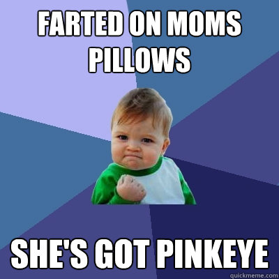 farted on moms pillows she's got pinkeye  Success Kid