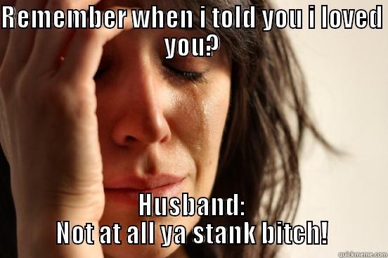 Memories  - REMEMBER WHEN I TOLD YOU I LOVED YOU? HUSBAND: NOT AT ALL YA STANK BITCH! First World Problems