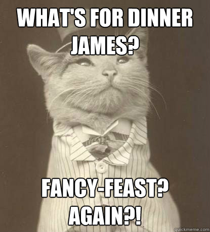 What's for dinner James? Fancy-feast? Again?!   Aristocat