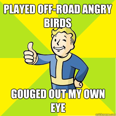 Played off-road angry birds Gouged out my own eye  Fallout new vegas