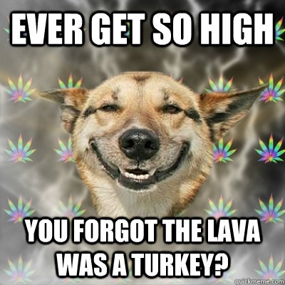 ever get so high you forgot the lava was a turkey? - ever get so high you forgot the lava was a turkey?  Stoner Dog