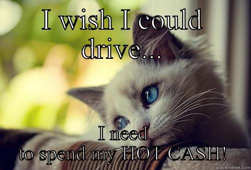 I WISH I COULD DRIVE... I NEED TO SPEND MY HOT CASH! First World Problems Cat